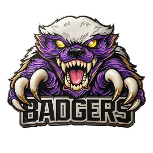 Badgers Sports Academy