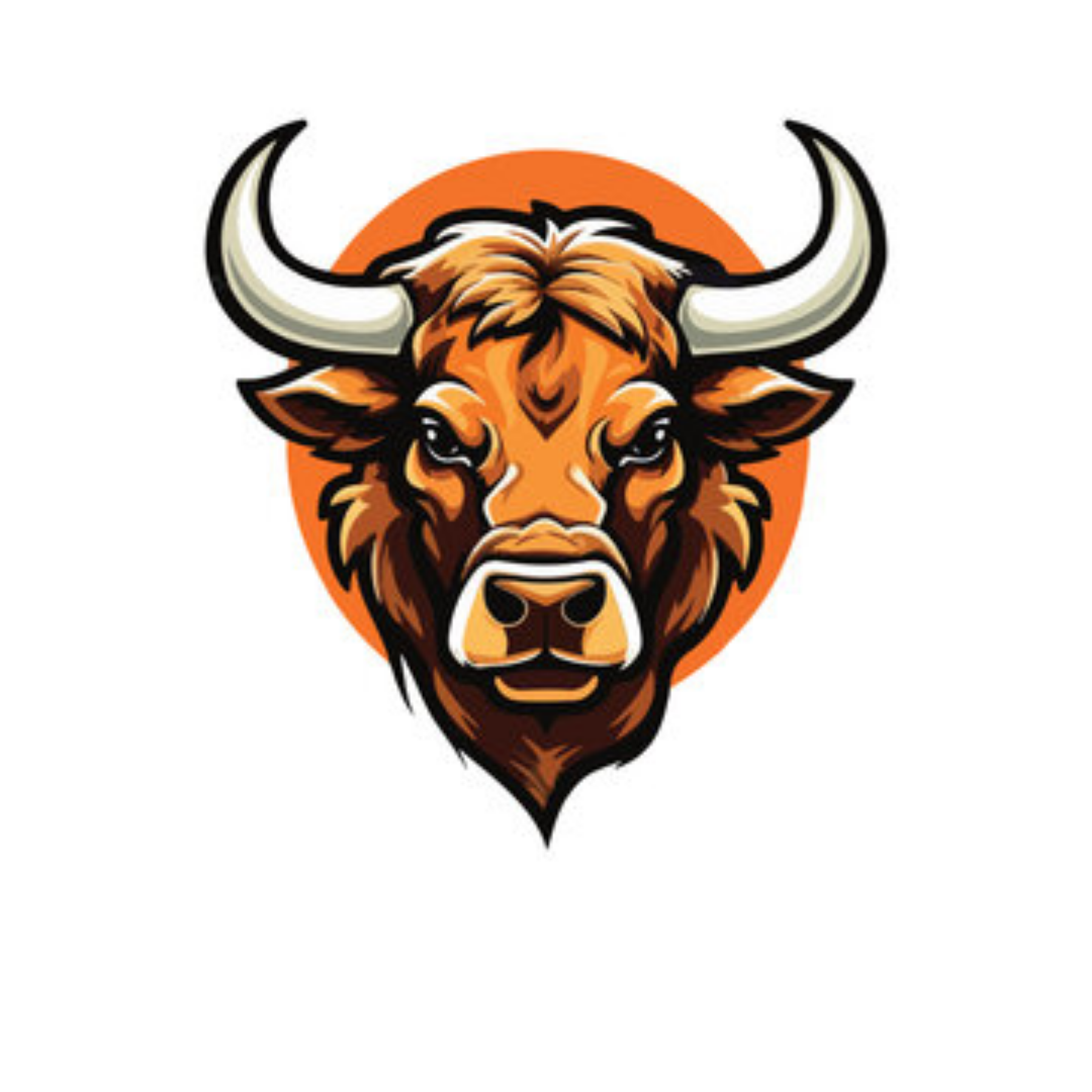 Team Banner