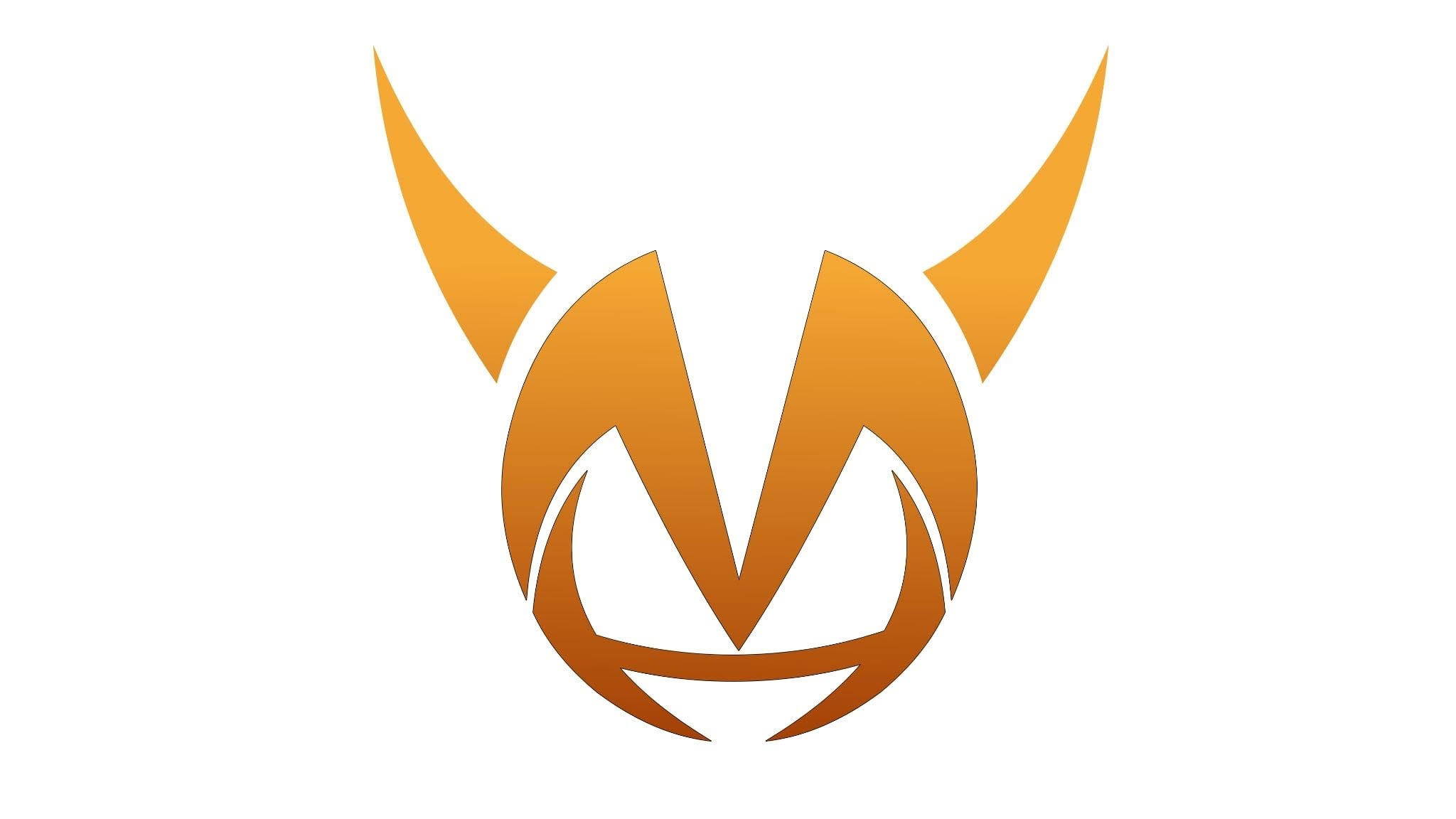 Team Banner
